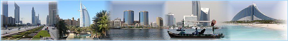 Dubai-pg.com header image 3